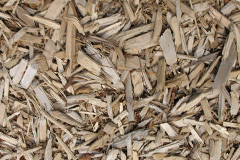 biomass boilers Whitsome